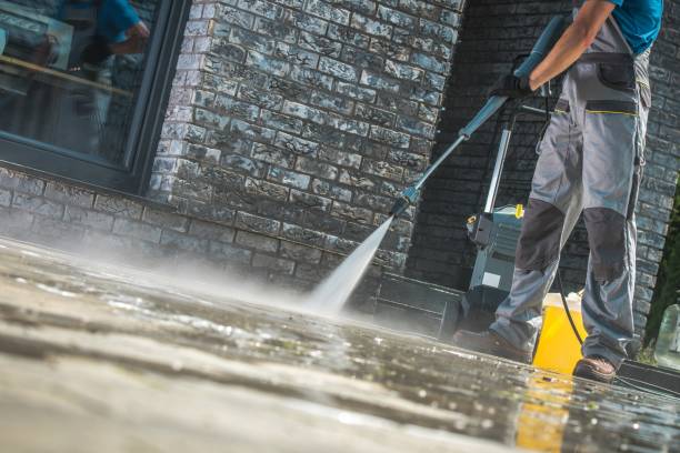 Best Soft Washing  in Swedesboro, NJ