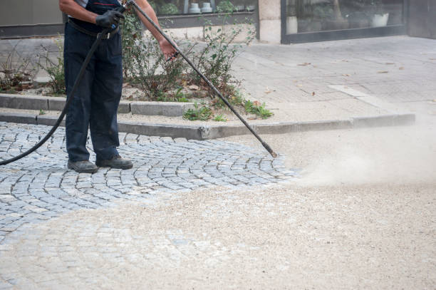 Best Pre-Holiday Cleaning  in Swedesboro, NJ